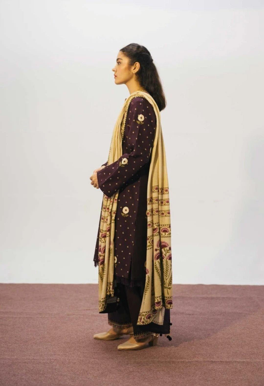 img_coco_winter_by_zara_shahjahan_awwal_boutique
