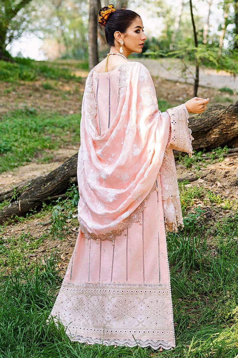 Mohsin Naveed Ranjha Chiffon Pakistani Suit Mohsin Naveed Ranjha/Nau Bahar/Gul Bahaar