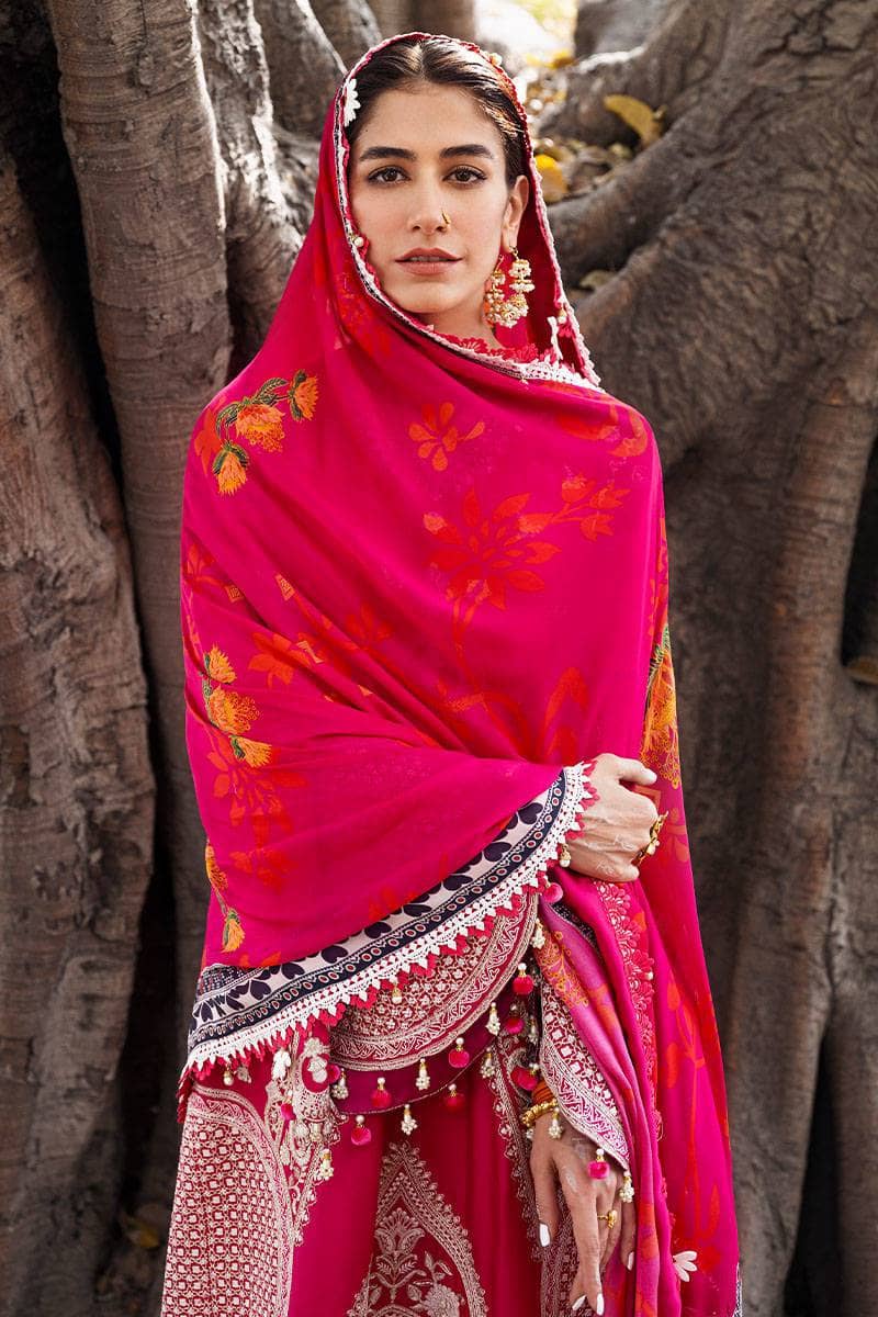 Mohsin Naveed Ranjha Chiffon Pakistani Suit Mohsin Naveed Ranjha/Nau Bahar/Gulabo