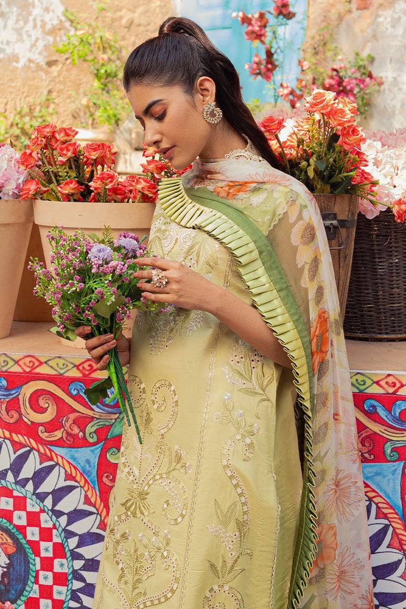img_mushq_hemline_23_awwal_boutique