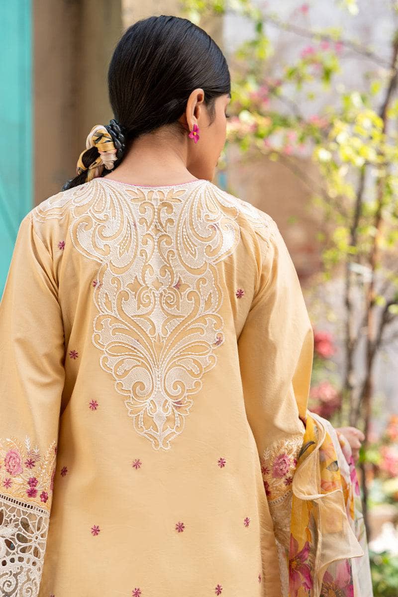 img_mushq_hemline_23_awwal_boutique