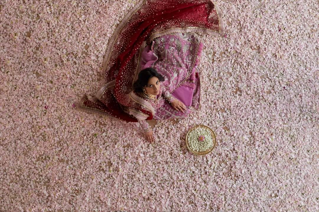 Restocked/Suffuse by Sana Yasir/Freesia/Zaiba