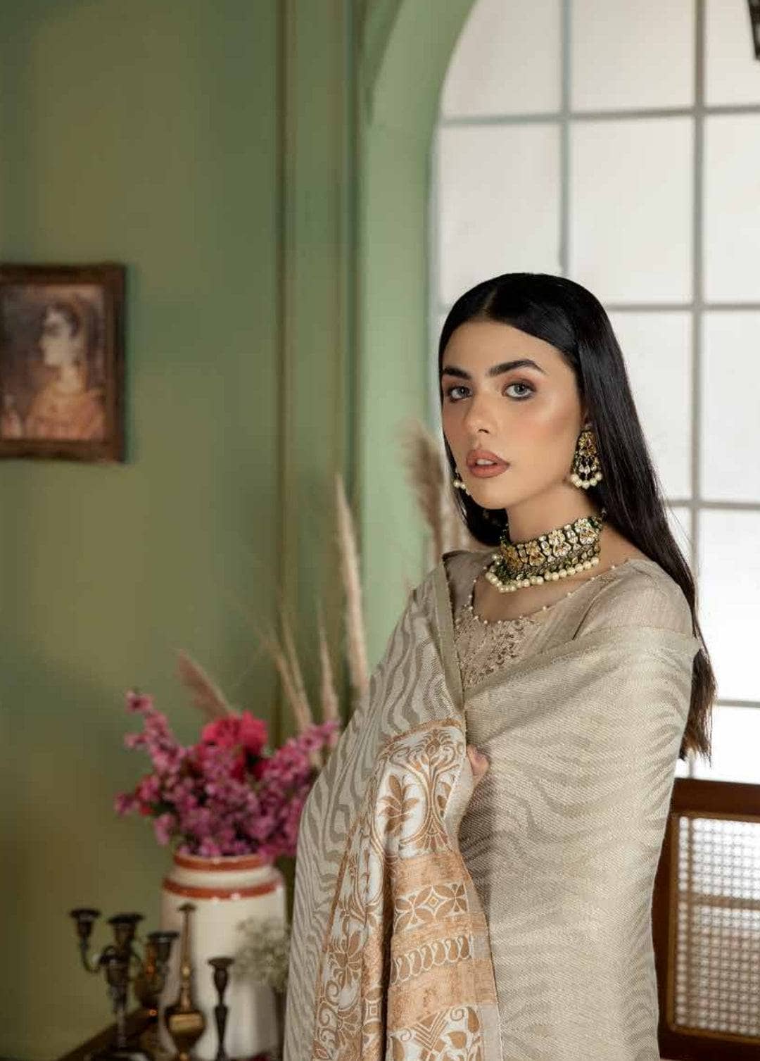 img_tehzeeb_by_riaz_arts_awwal_boutique