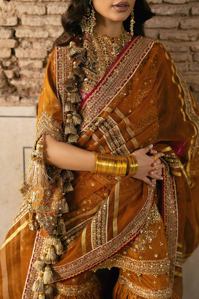 img_zarlish_by_mohsin_naveed_ranjha_awwal_boutique