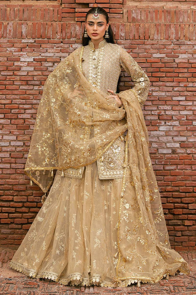 Mohsin Naveed Ranjha 25/Makhfi/Shaadi Collection/Gold/Roshni