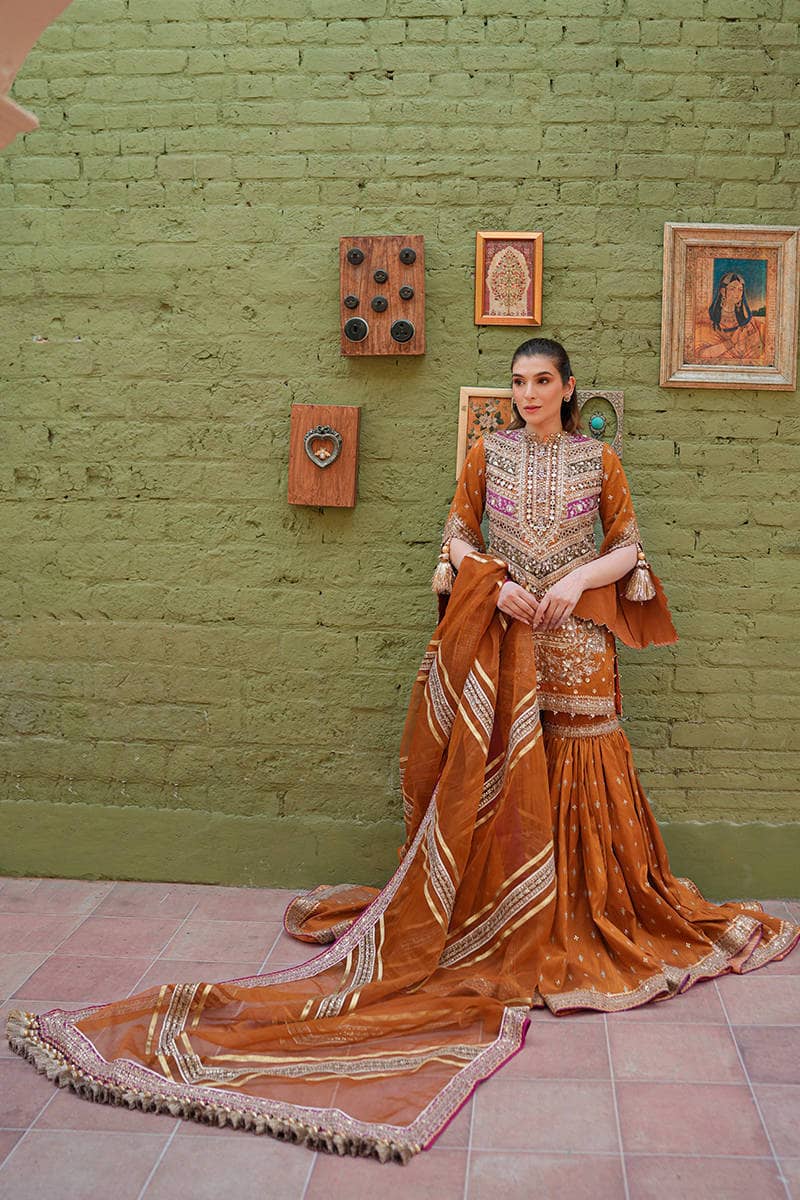 img_zarlish_by_mohsin_naveed_ranjha_awwal_boutique