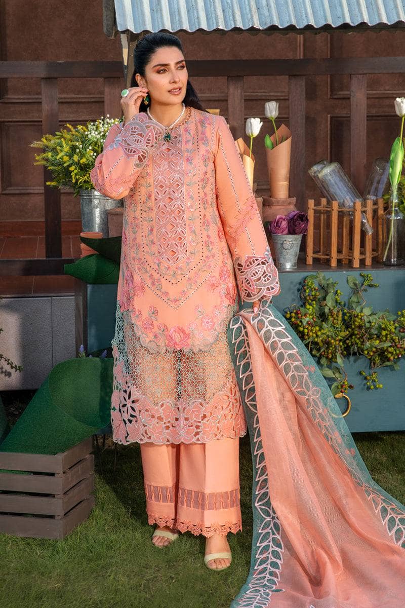 img_rang_rasiya_eid_collection_awwal_boutique