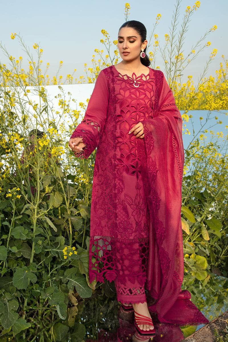 img_rang_rasiya_eid_collection_awwal_boutique