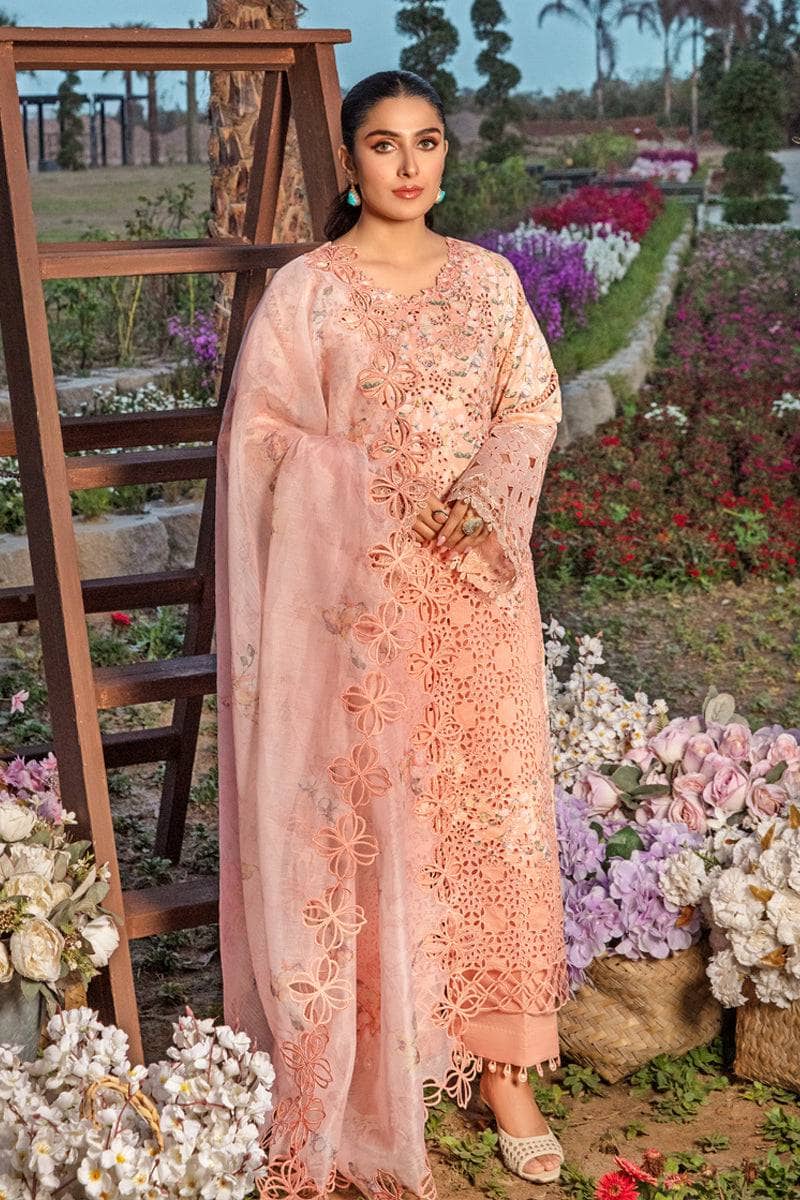 img_rang_rasiya_eid_collection_awwal_boutique