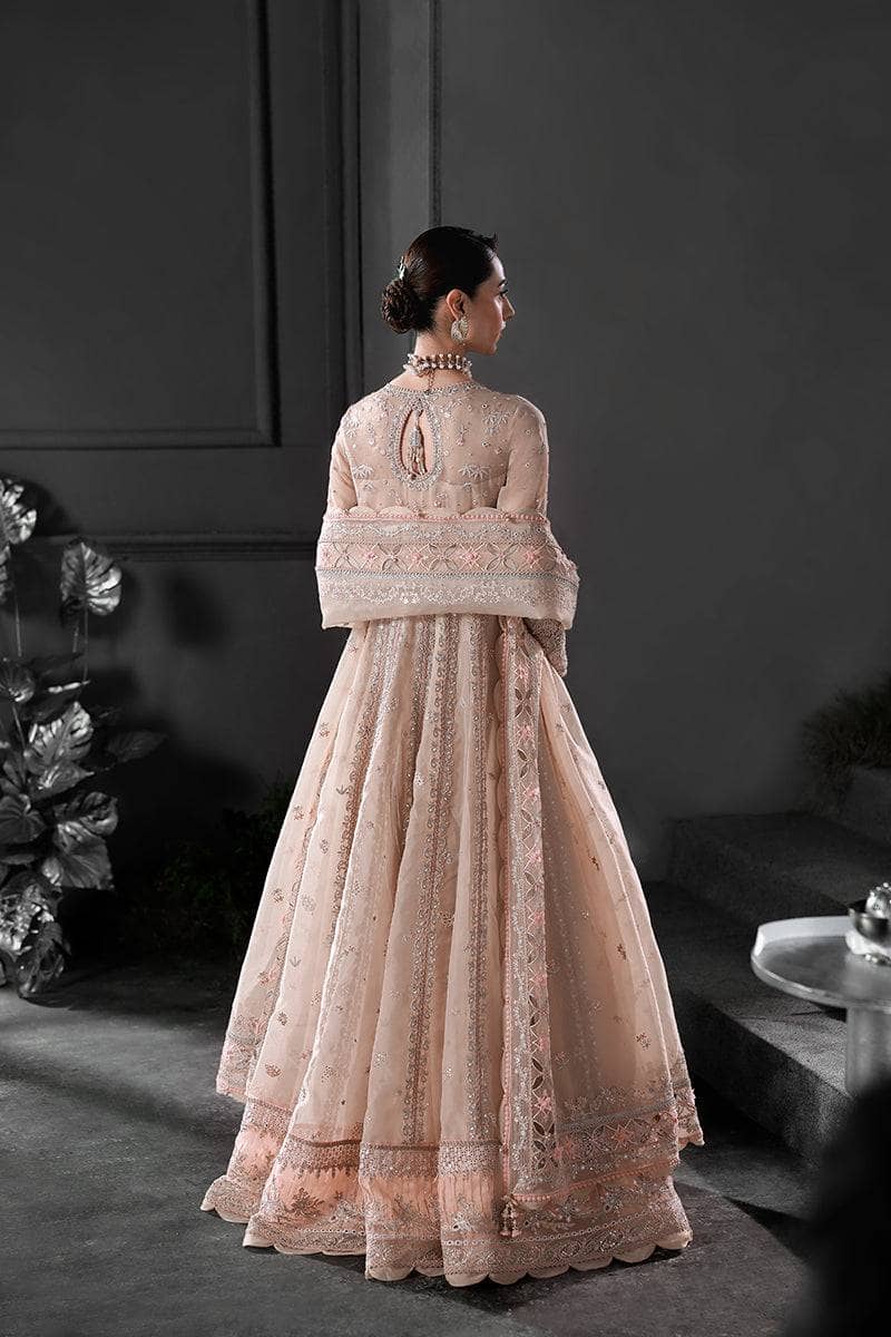 Qalamkar Elirah Wedding Formals 25/Hand Work/MF-01 LUSTRA