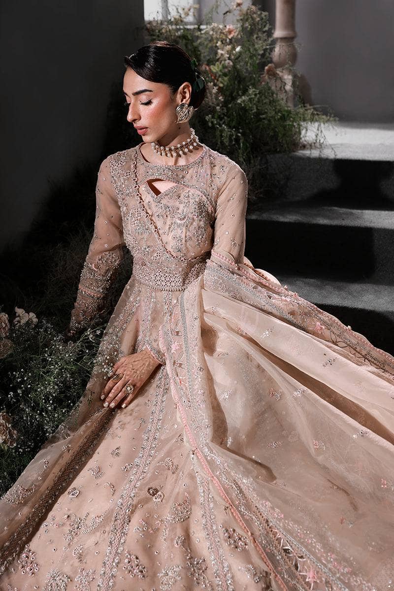 Qalamkar Elirah Wedding Formals 25/Hand Work/MF-01 LUSTRA