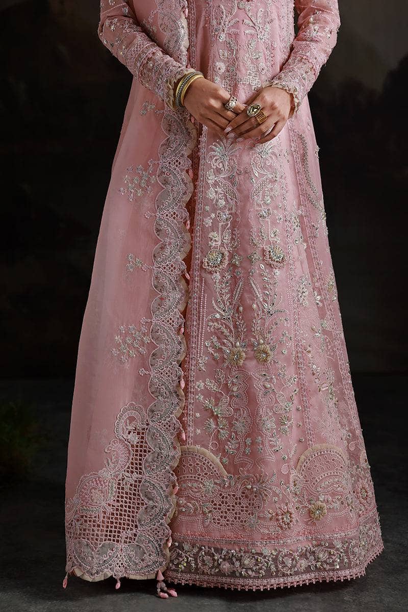 Qalamkar Elirah Wedding Formals 25/Hand Work/