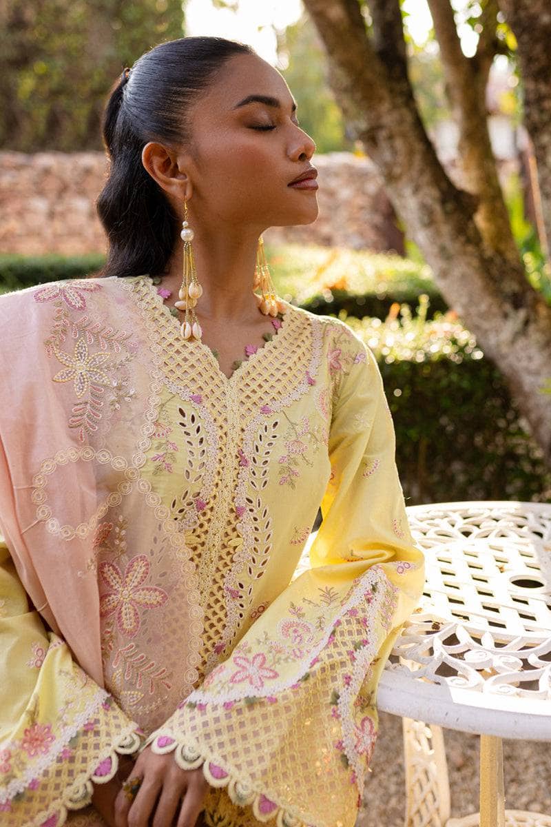 Qalamkar Q Line Lawn 25/QM-11 Ina