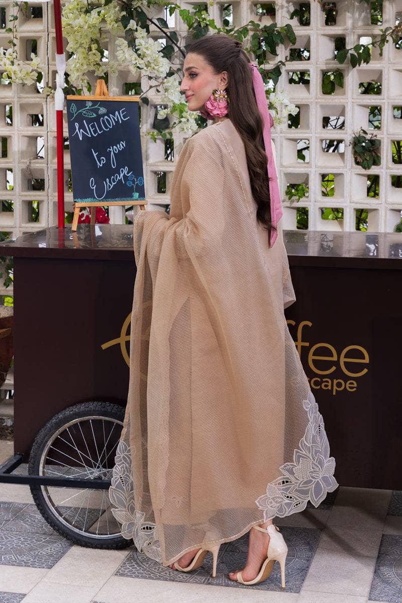 img_rang_rasiya_lifestyle_awwal_boutique