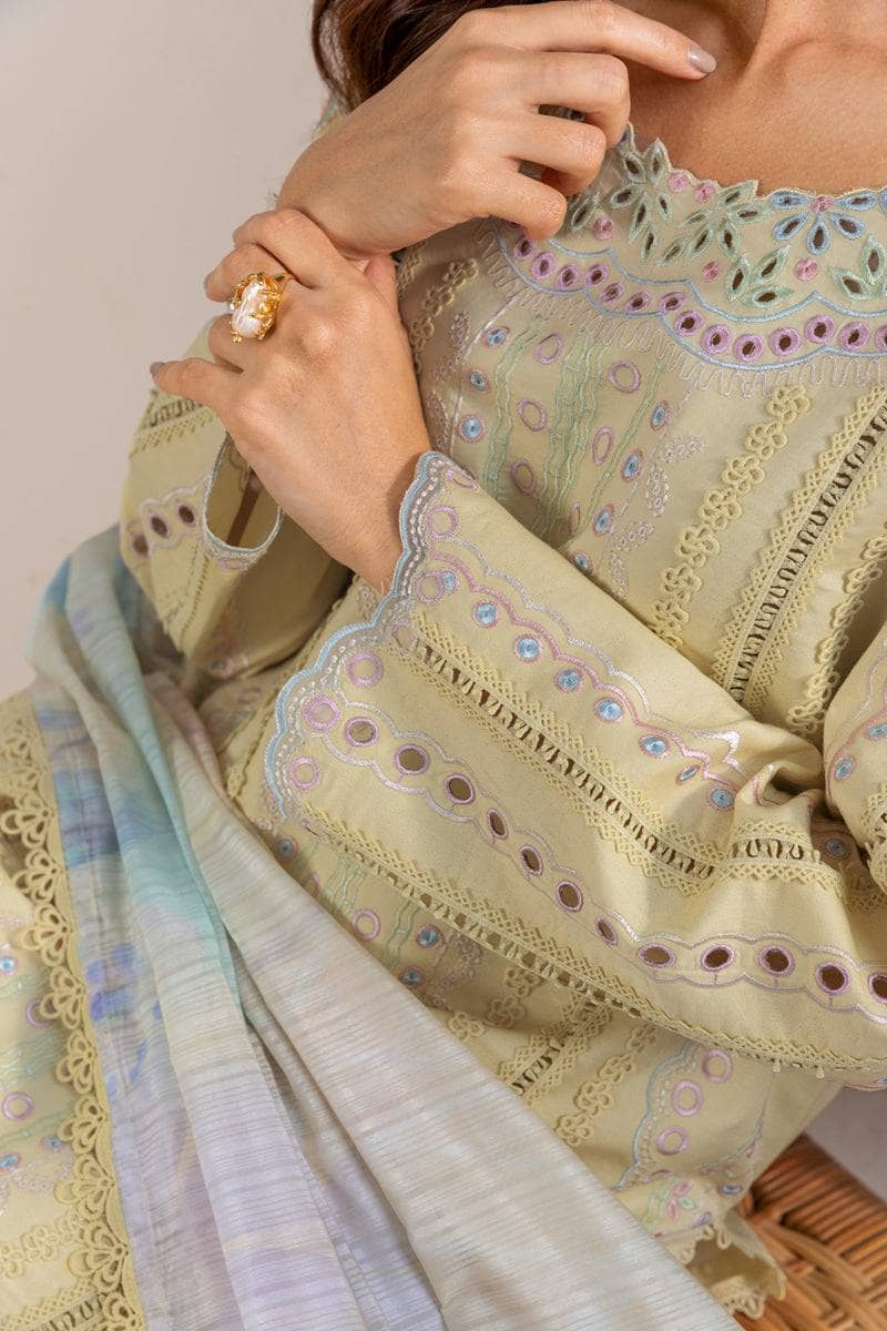 Rang Rasiya Carnation Lawn 25/Vol 2/9/Nora/Yellow/Silk Dupatta