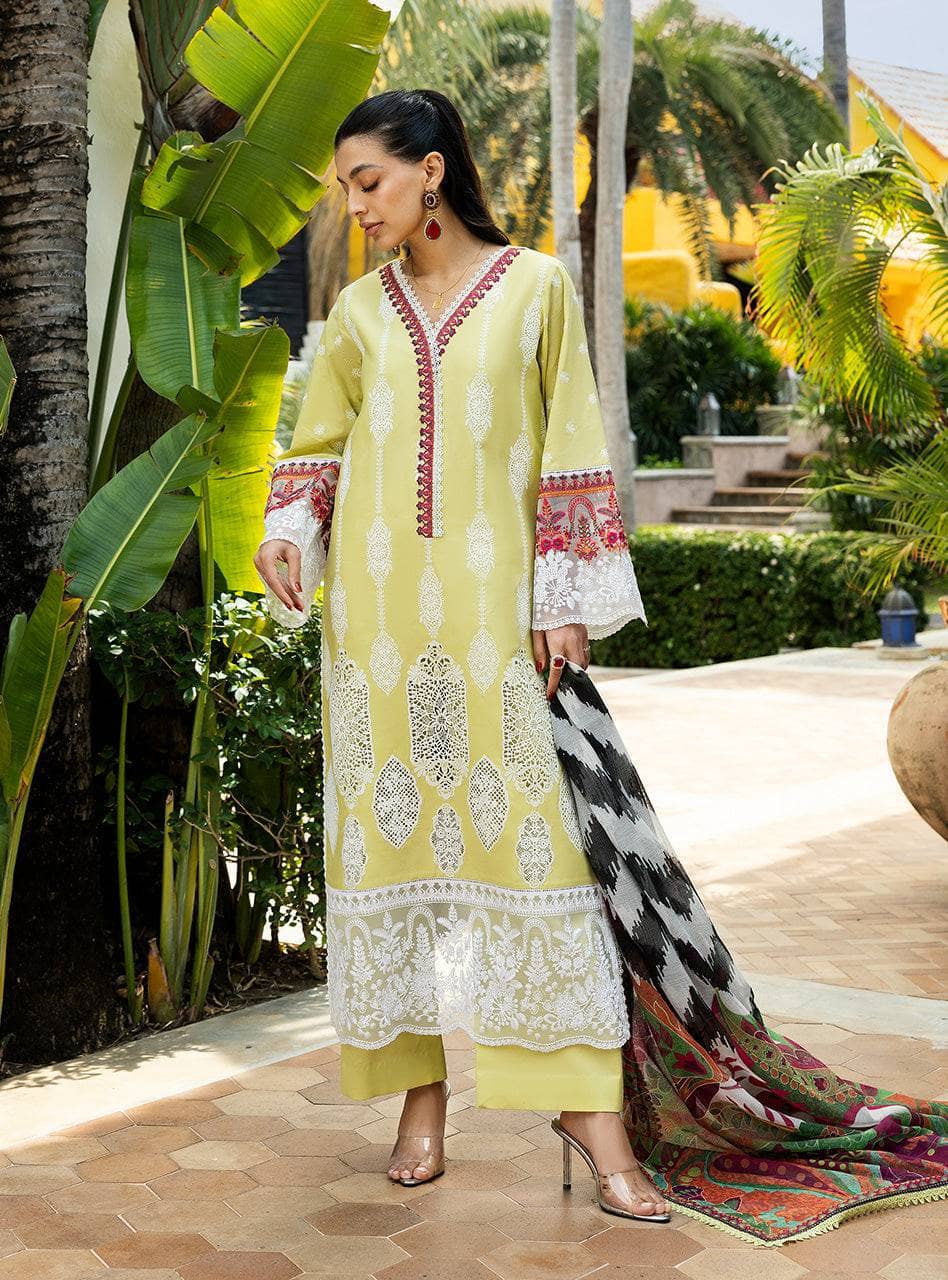 Zainab Chottani Chikankari Lawn 25/Rayne-12A