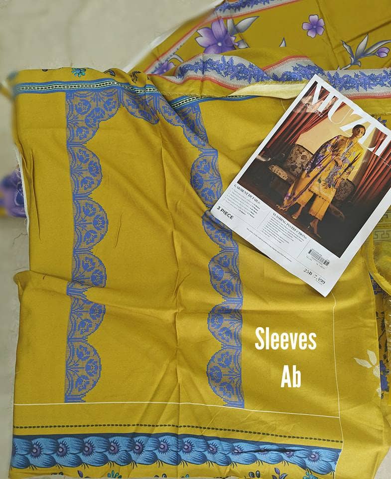 Open Pic/Sana Safinaz Muzlin Fall Edit/25B/Linen Dupatta