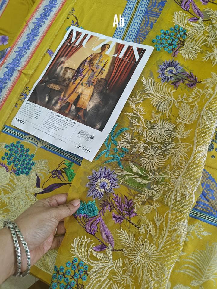 Open Pic/Sana Safinaz Muzlin Fall Edit/25B/Linen Dupatta