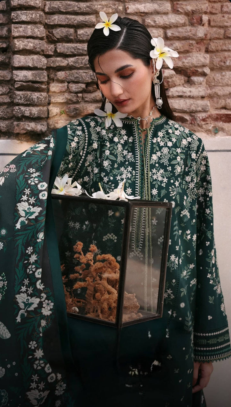 Restocked/.Jugnu Lahore/Khaddar/Bita/Deep Green