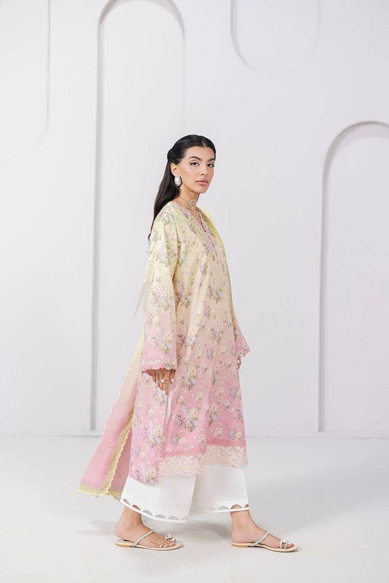 Qalamkar Q Print 25/Vol 2/Sierra/8A