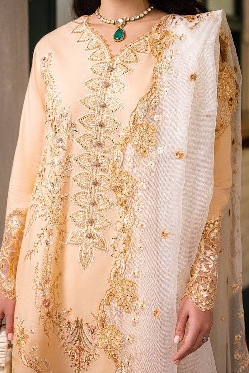 img_mushq_orient_express_awwal_boutique