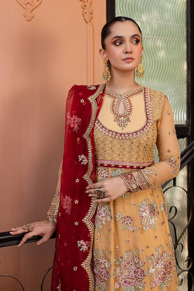 img_roheenaz_naira_chiffon_awwal_boutique