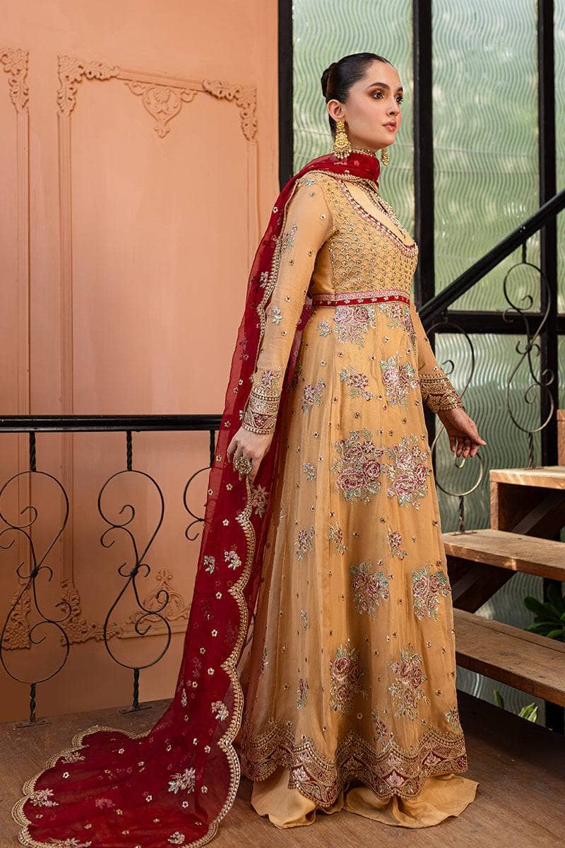 img_roheenaz_naira_chiffon_awwal_boutique