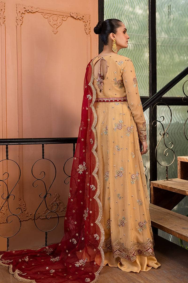 img_roheenaz_naira_chiffon_awwal_boutique