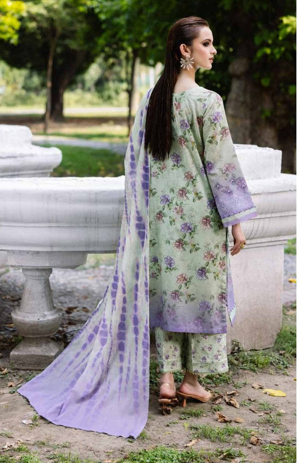 Nureh Daily Delight Chikankari Lace Collection