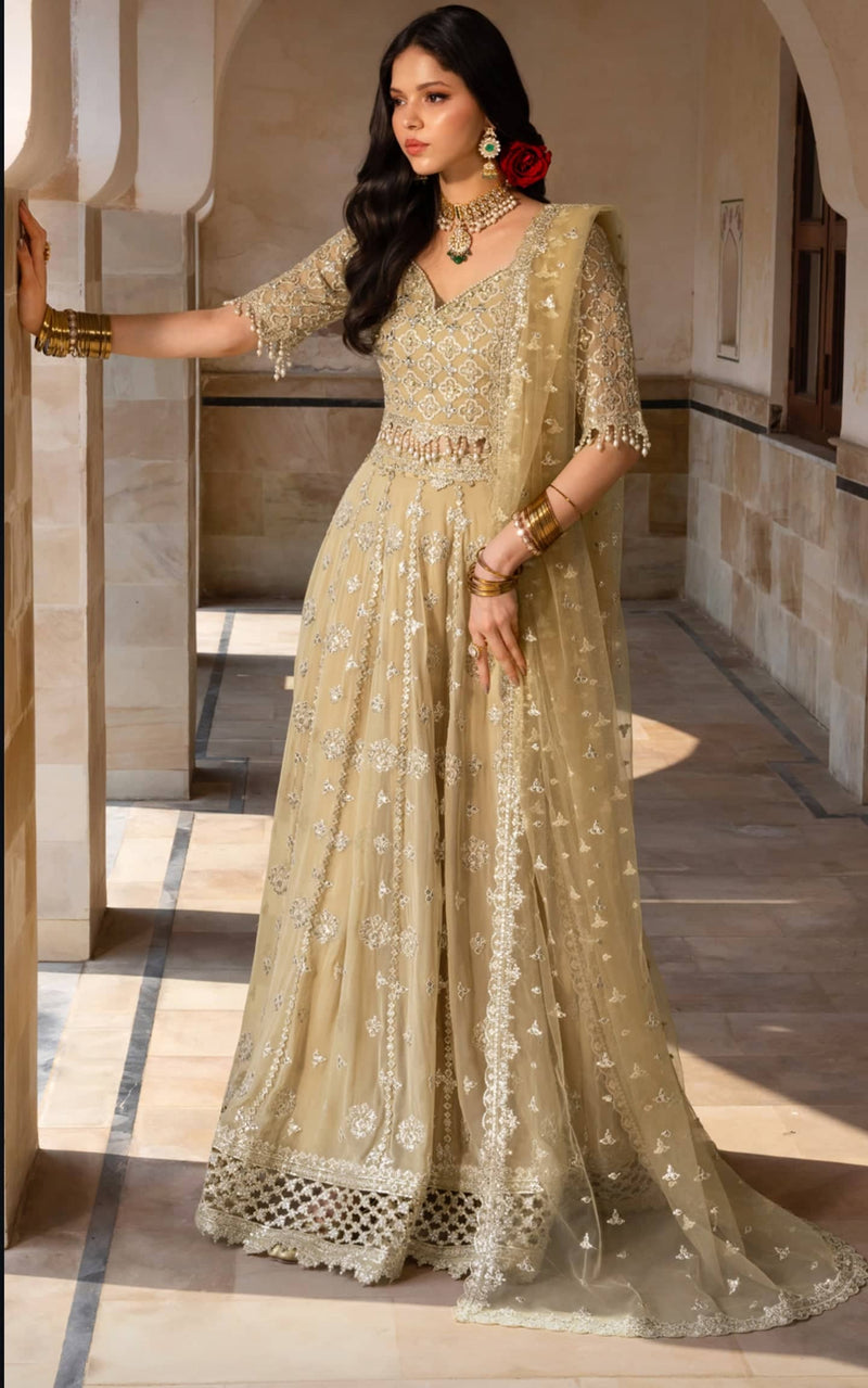 Rang Rasiya Chiffon Formals/Zaiena