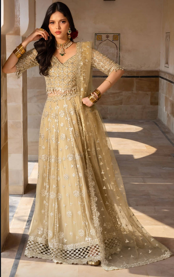 Rang Rasiya Chiffon Formals/Zaiena