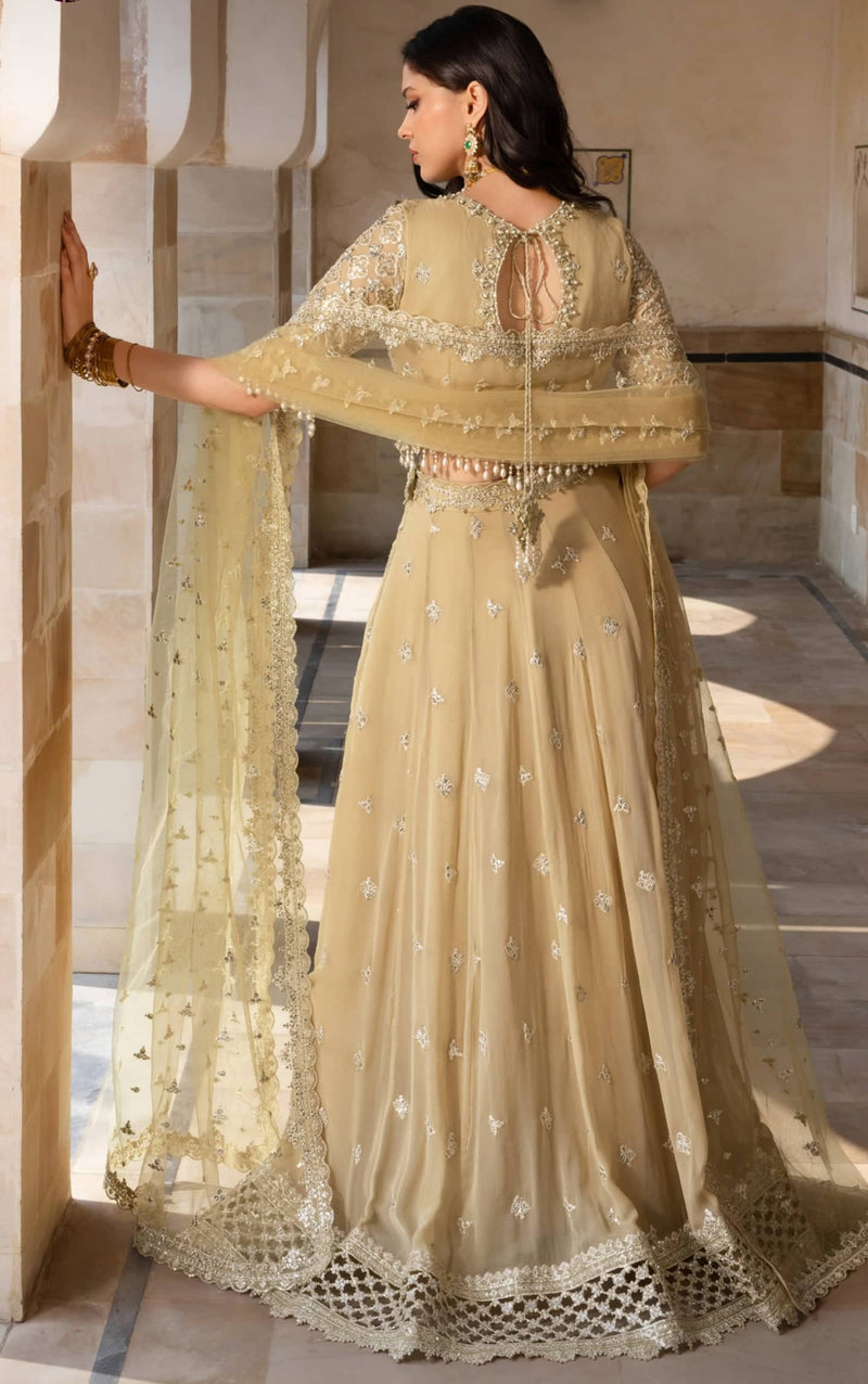 Rang Rasiya Chiffon Formals/Zaiena