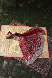 Afrozeh Shehnai Wedding Formals/Sheen/Crimson Red