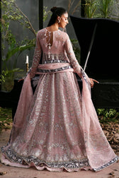 Afrozeh La Fuchsia 25/Zeal/06/Baby Pink
