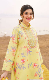 img_asifa_and_nabeel_lawn_24_awwal_boutique