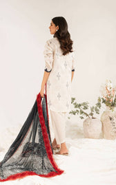 img_asifa_and_nabeel_lawn_23_awwal_boutique