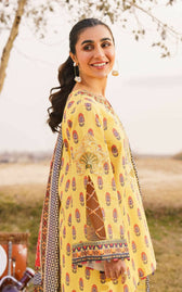 img_asifa_and_nabeel_lawn_awwal_boutique