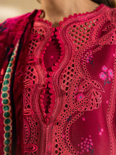 Restocked/Bin Ilyas Olivia/Velvet Palachi Shawl Collection