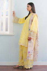 img_coco_by_zara_shahjahan_awwal_boutique