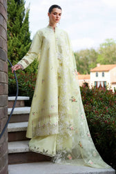 Restocked/Cross Stitch Premium Lawn 26/Citrus Lace/Yellow