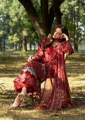 Elaf Chikankari 26/ERC-1B MARJAAN/Chiffon Dupatta