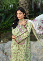 Elaf Chikankari 26/ERC-2A HINA/Chiffon Dupatta