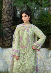 Elaf Chikankari 26/ERC-2A HINA/Chiffon Dupatta