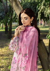 Restocked/Elaf Chikankari 26/ERC-3A MAN MAYAL/Chiffon Dupatta