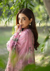 Restocked/Elaf Chikankari 26/ERC-3A MAN MAYAL/Chiffon Dupatta