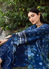 REstocked/Elaf Chikankari 26/ERC-3B NEEL/Chiffon Dupatta