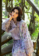Restocked/Elaf Chikankari 26/ERC-6B IRIS/Chiffon Dupatta