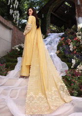 img_elaf_festive_chikankari_23_awwal_boutique