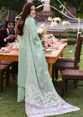 img_elaf_festive_chikankari_23_awwal_boutique