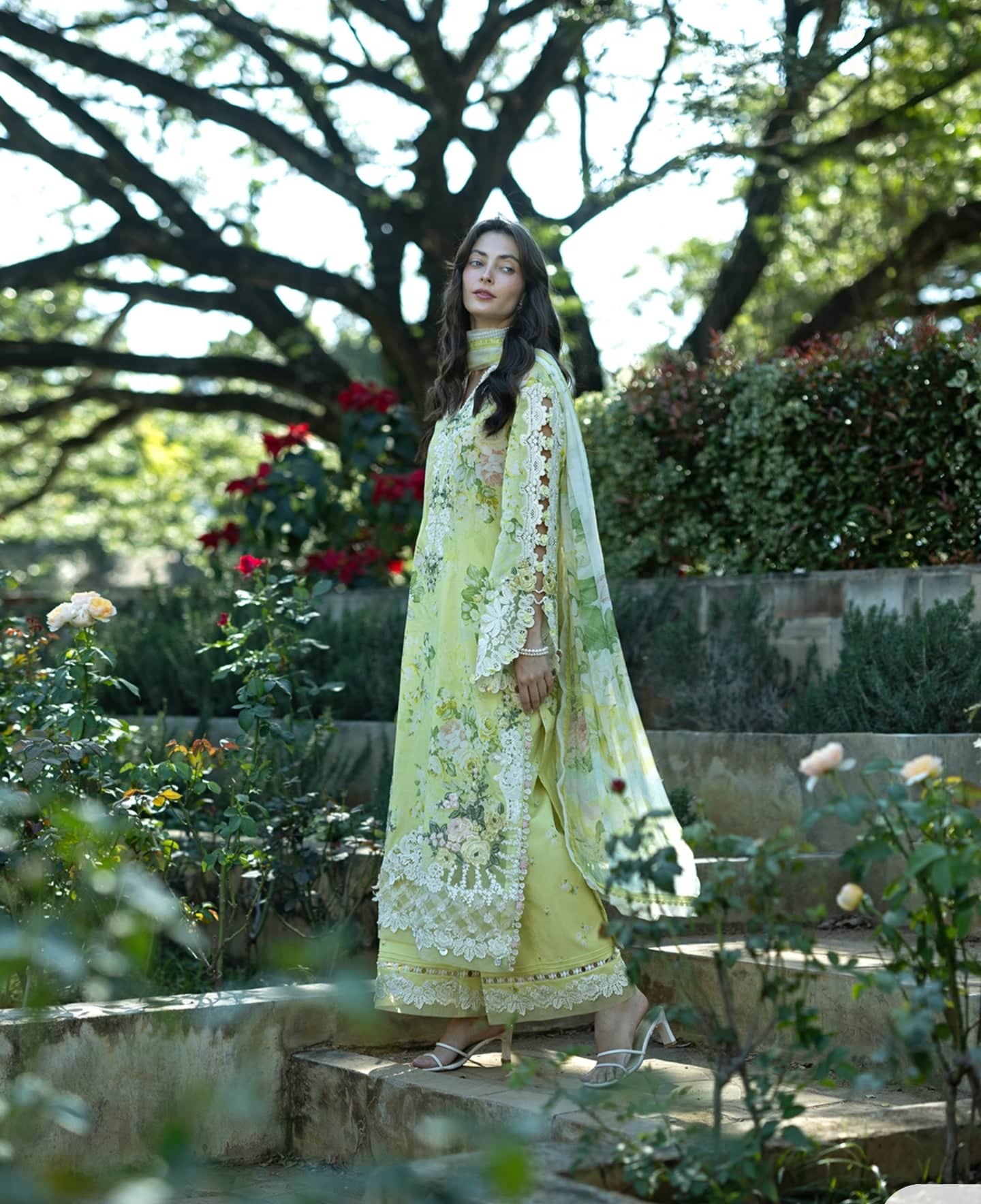 Elaf Signature Lawn/ESA-7A IVORY SEASON